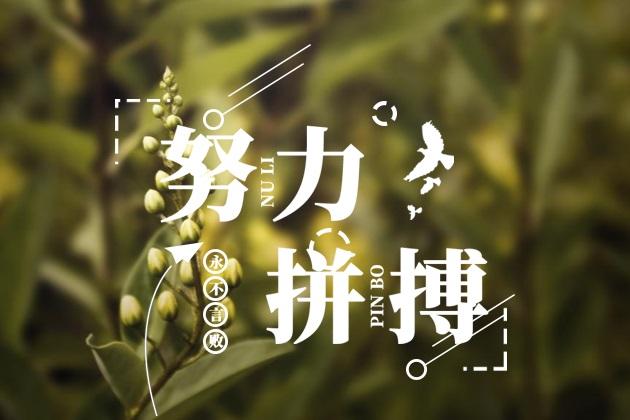  給我一份信任，還你10分滿意(圖3)